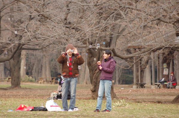 実は代々木公園へは約20年ぶりに出かけました。暖冬とはいえ肌寒い公園には結構人が出ていました。シャボン玉を楽しそうに飛ばす若いカップルがいました。